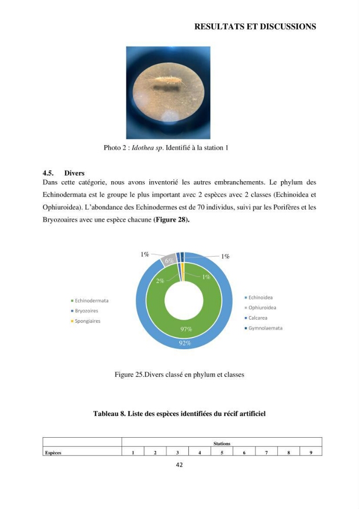 Analyse benthique des fonds marins de Stidia (Wilaya de Mostaganem ) aprés mise en place d\'un récif artificiel