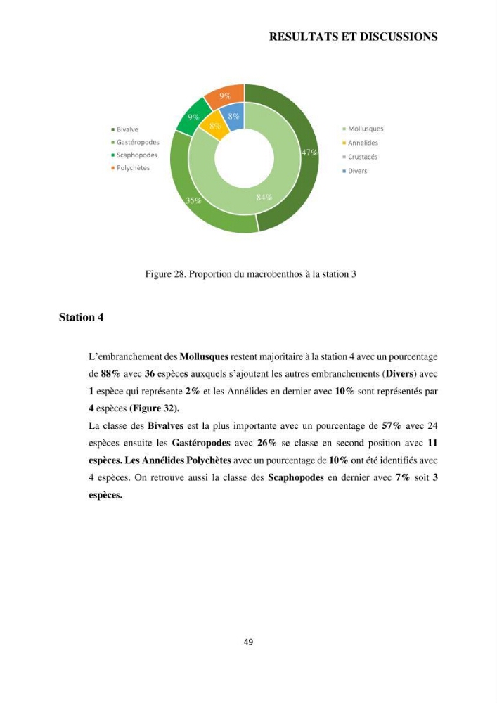 Analyse benthique des fonds marins de Stidia (Wilaya de Mostaganem ) aprés mise en place d\'un récif artificiel