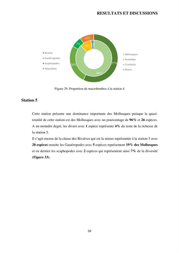 Analyse benthique des fonds marins de Stidia (Wilaya de Mostaganem ) aprés mise en place d\'un récif artificiel