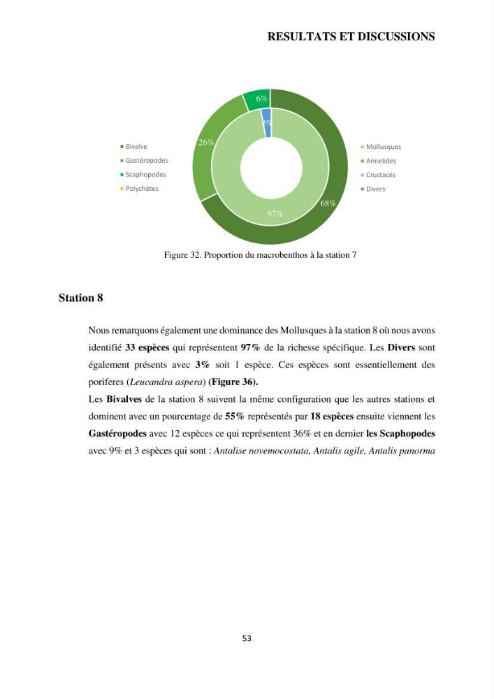 Analyse benthique des fonds marins de Stidia (Wilaya de Mostaganem ) aprés mise en place d\'un récif artificiel