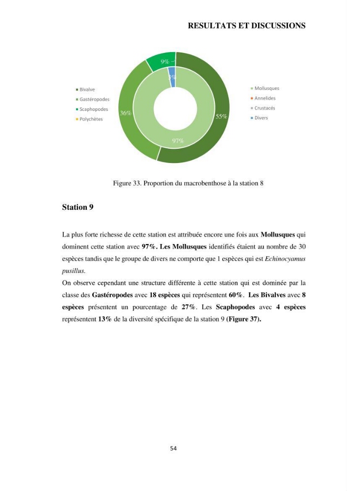 Analyse benthique des fonds marins de Stidia (Wilaya de Mostaganem ) aprés mise en place d\'un récif artificiel