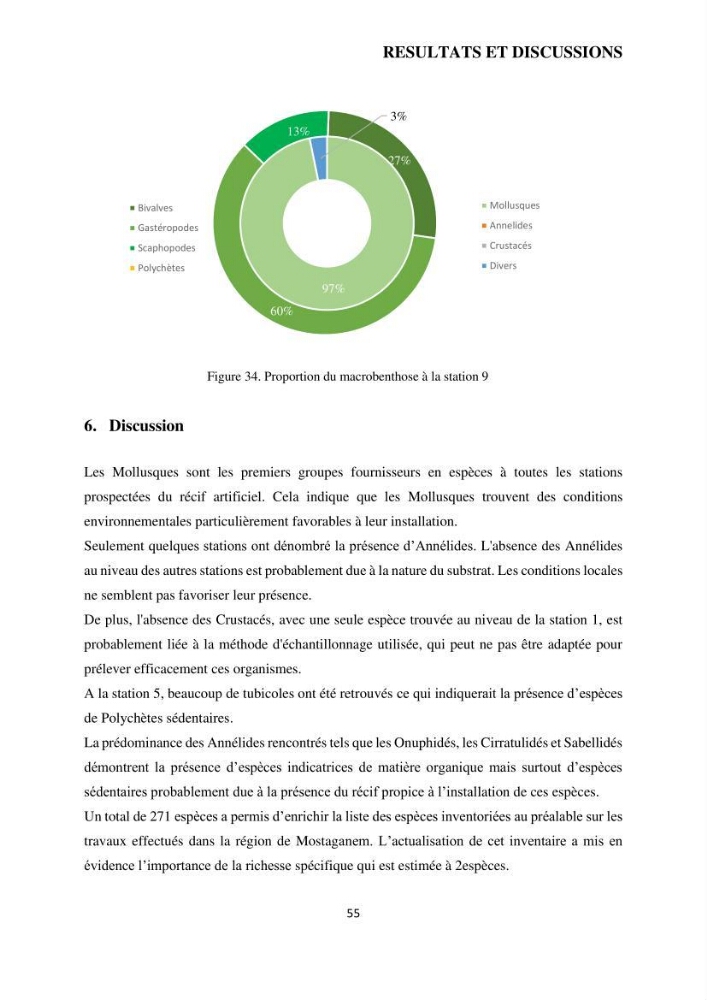 Analyse benthique des fonds marins de Stidia (Wilaya de Mostaganem ) aprés mise en place d\'un récif artificiel