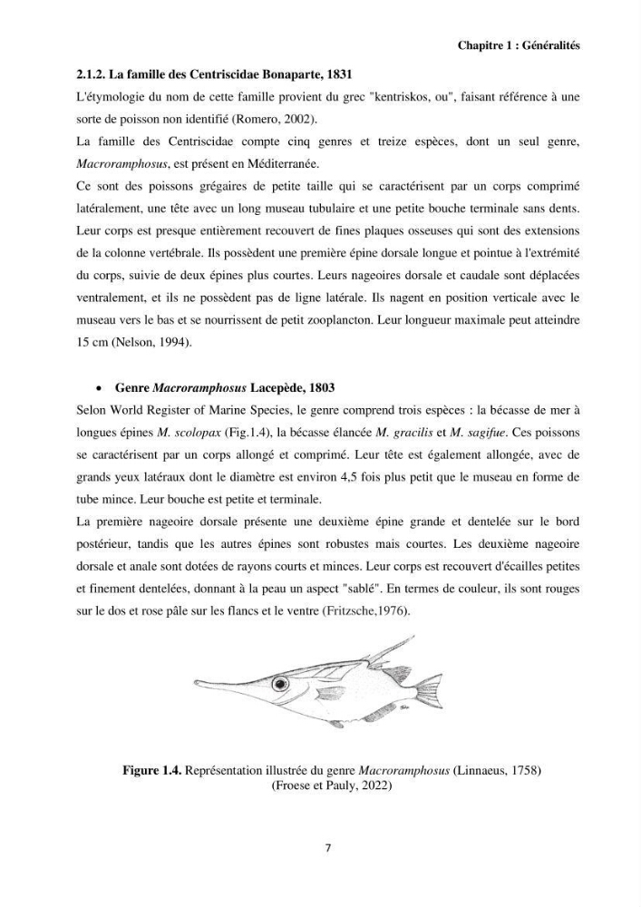 Contribution à l\'étude des Syngnathiformes de la côte algérienne: systématique et inventaire, croissance et état d\'exploitation de Macroramphosus scolopax( Linnaeus, 1758 )