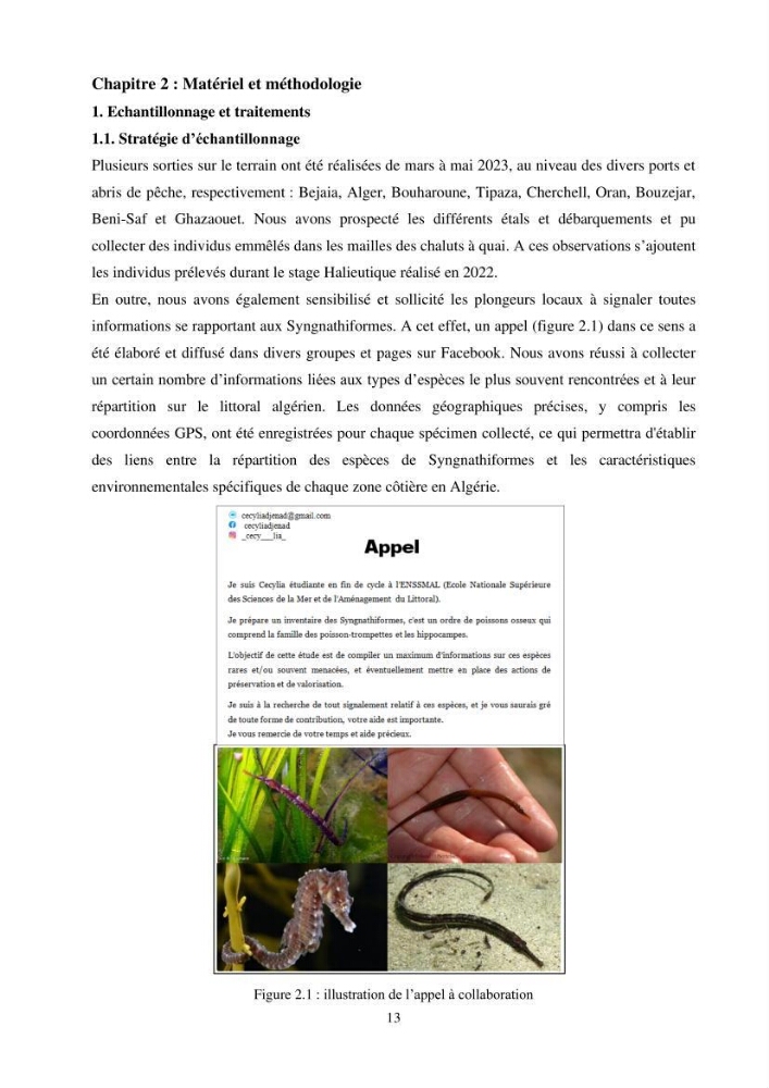 Contribution à l\'étude des Syngnathiformes de la côte algérienne: systématique et inventaire, croissance et état d\'exploitation de Macroramphosus scolopax( Linnaeus, 1758 )