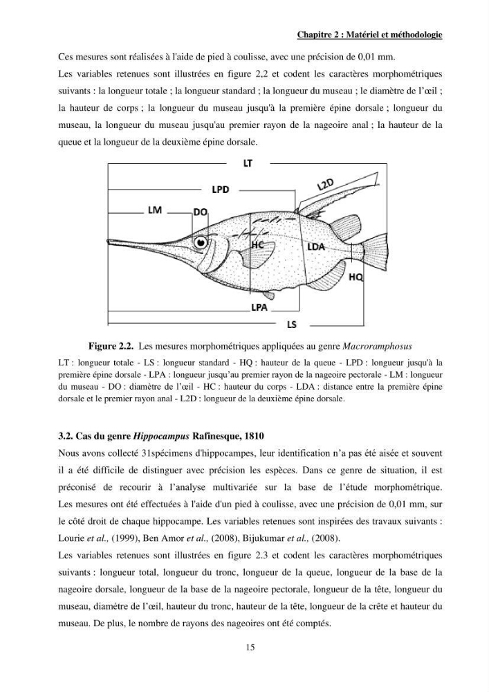 Contribution à l\'étude des Syngnathiformes de la côte algérienne: systématique et inventaire, croissance et état d\'exploitation de Macroramphosus scolopax( Linnaeus, 1758 )