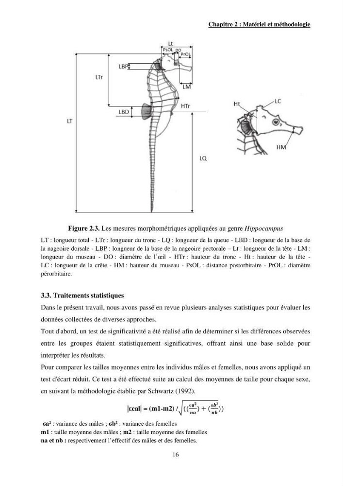 Contribution à l\'étude des Syngnathiformes de la côte algérienne: systématique et inventaire, croissance et état d\'exploitation de Macroramphosus scolopax( Linnaeus, 1758 )