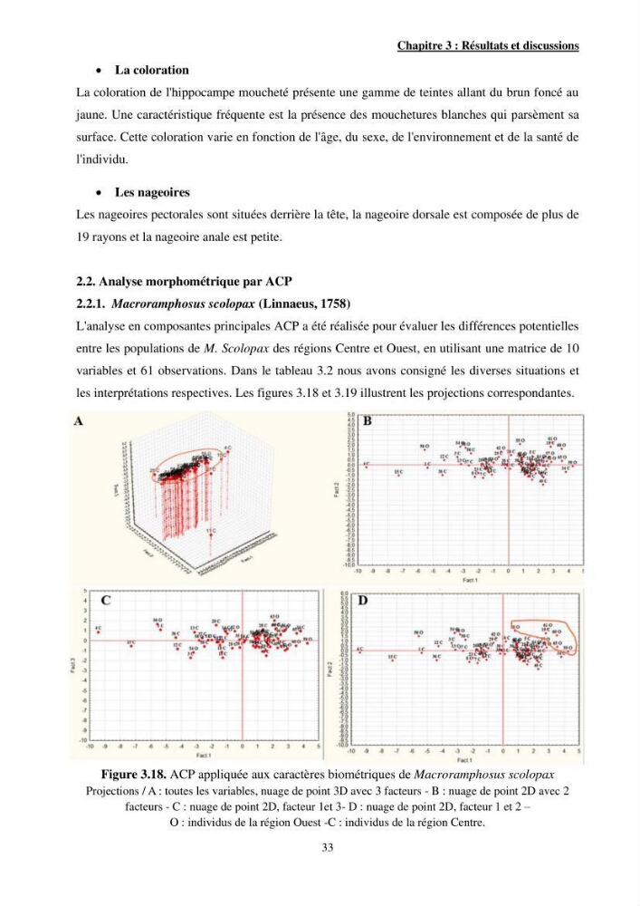 Contribution à l\'étude des Syngnathiformes de la côte algérienne: systématique et inventaire, croissance et état d\'exploitation de Macroramphosus scolopax( Linnaeus, 1758 )