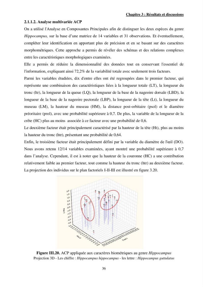 Contribution à l\'étude des Syngnathiformes de la côte algérienne: systématique et inventaire, croissance et état d\'exploitation de Macroramphosus scolopax( Linnaeus, 1758 )