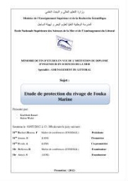 Etude de protection du rivage de Fouka marine:
