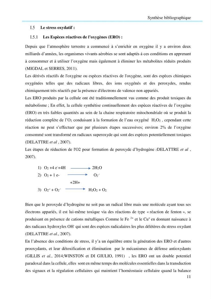 Contribution à la mesure du stress chez Mytilus galloprovincialis (Lamarck, 1819):