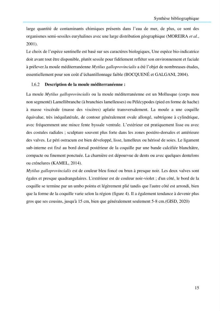 Contribution à la mesure du stress chez Mytilus galloprovincialis (Lamarck, 1819):