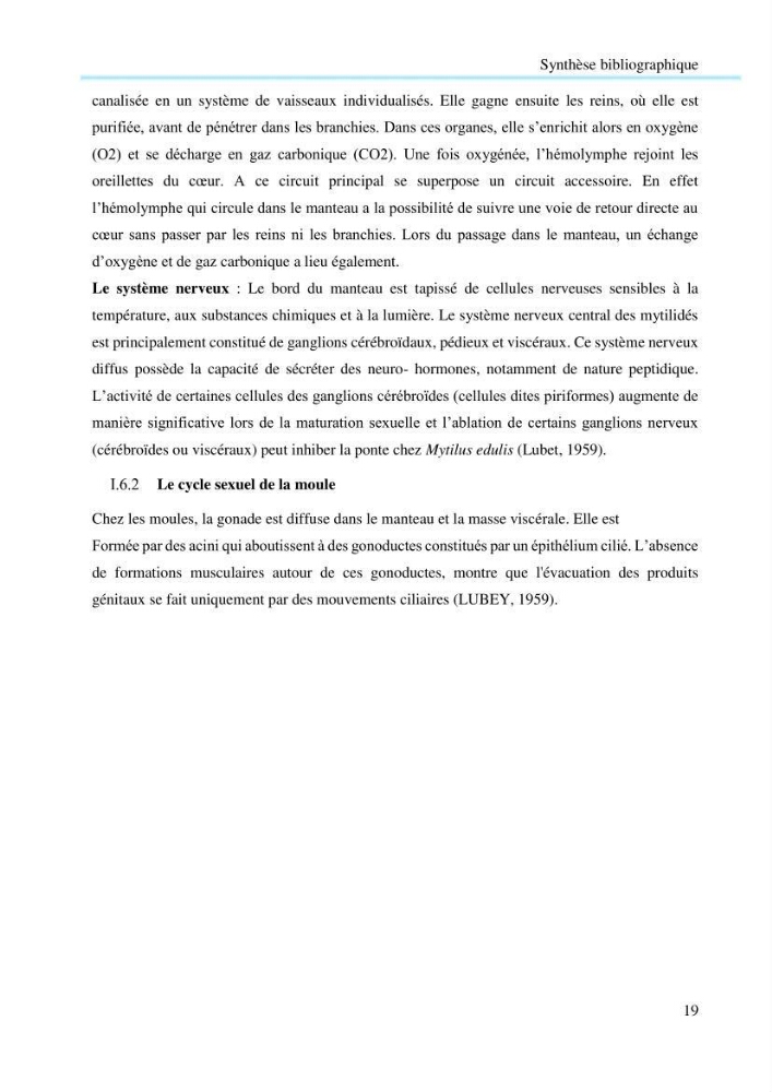 Contribution à la mesure du stress chez Mytilus galloprovincialis (Lamarck, 1819):