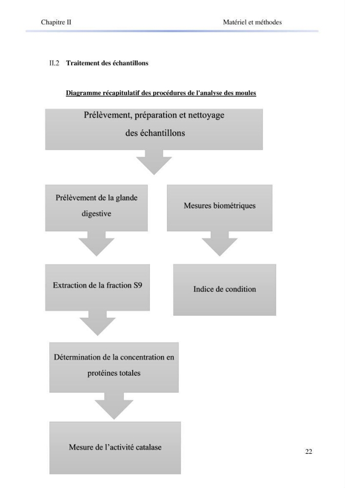 Contribution à la mesure du stress chez Mytilus galloprovincialis (Lamarck, 1819):