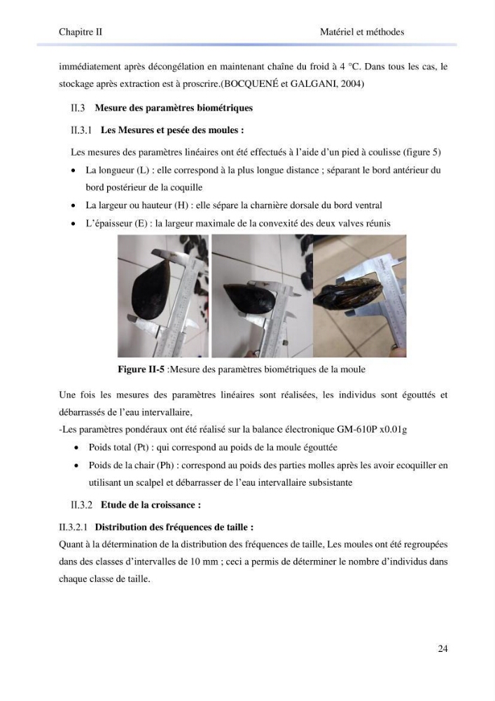 Contribution à la mesure du stress chez Mytilus galloprovincialis (Lamarck, 1819):