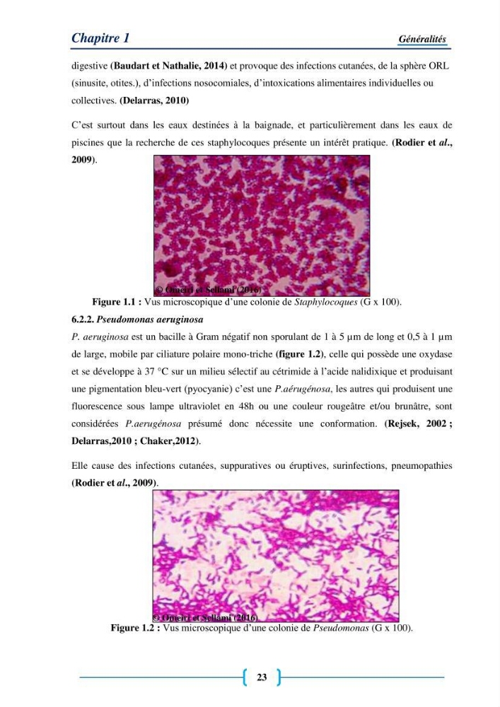 Evaluation des paramètres physico-chimiques et bactériologiques au niveau de la plage El Bahdja avec les apports de l\'Oued Béni-Messous