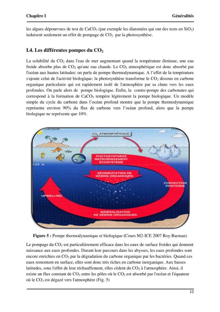 Suivi de l\'état d\'eutrophisation et rôle de la baie d\'Alger comme source ou puits de CO2 pour l\'atmosphère
