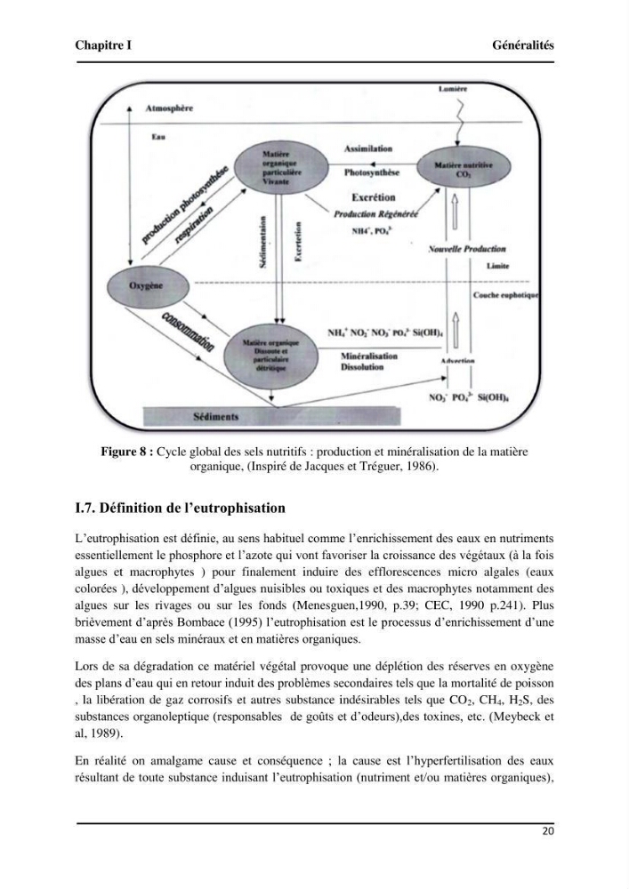 Suivi de l\'état d\'eutrophisation et rôle de la baie d\'Alger comme source ou puits de CO2 pour l\'atmosphère