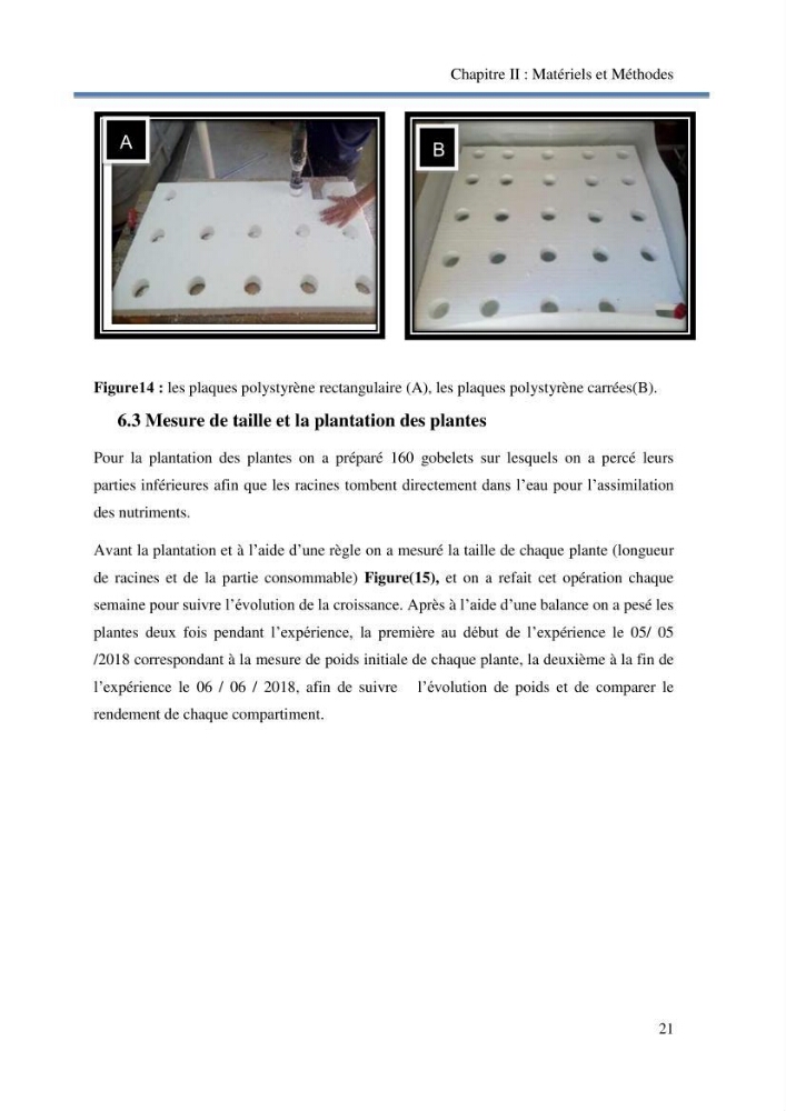 Suivi d\'un systeme d\'élevage en aquaponie en Algèrie