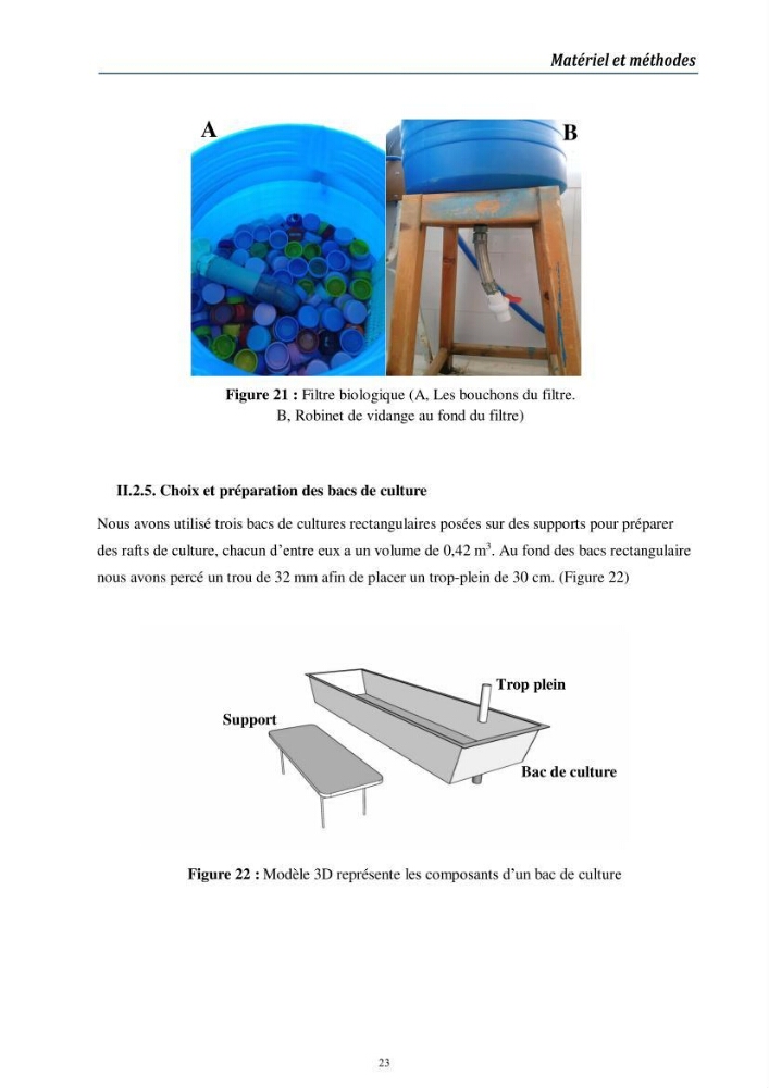 Conception d’une installation aquaponique
