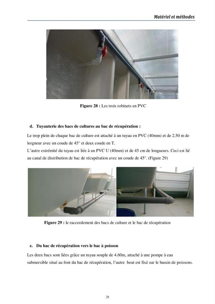 Conception d’une installation aquaponique