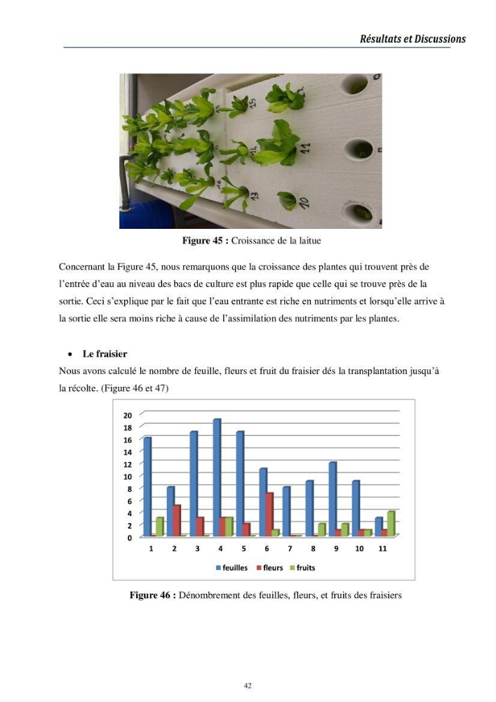 Conception d’une installation aquaponique