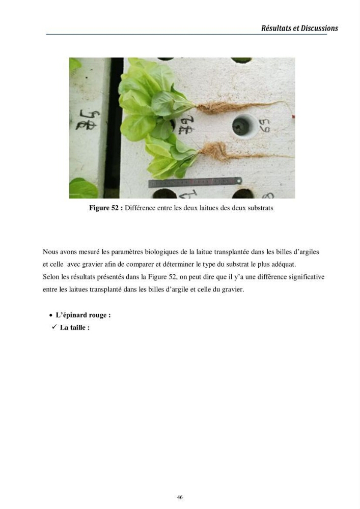 Conception d’une installation aquaponique