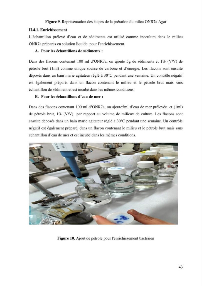 Isolement et caracterisation des bactéries degradants les différentes fractions du pétrol: Cas d’étude port de la Madrague, Ain Benian.
