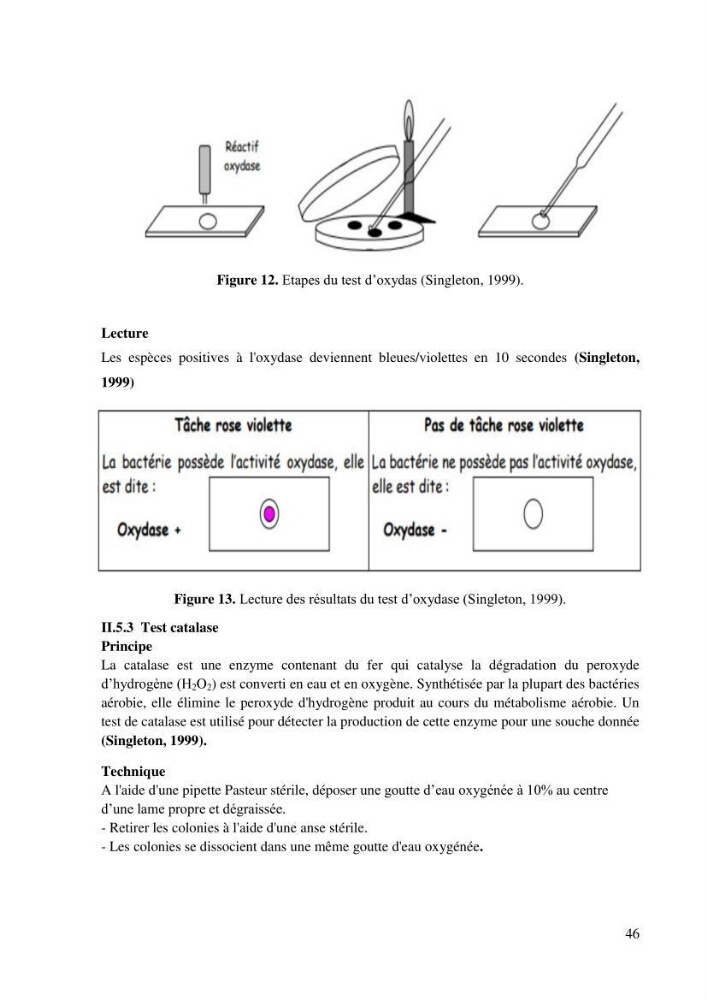 Isolement et caracterisation des bactéries degradants les différentes fractions du pétrol: Cas d’étude port de la Madrague, Ain Benian.