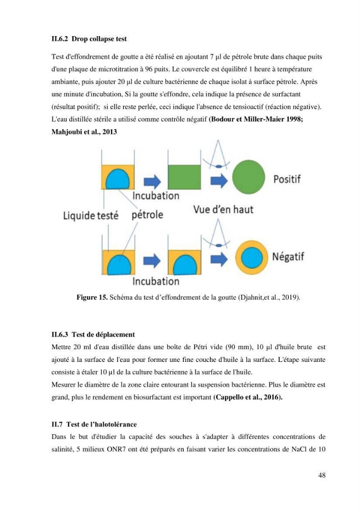 Isolement et caracterisation des bactéries degradants les différentes fractions du pétrol: Cas d’étude port de la Madrague, Ain Benian.