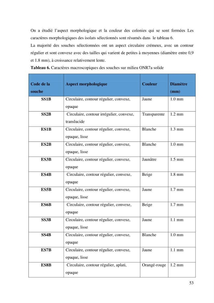 Isolement et caracterisation des bactéries degradants les différentes fractions du pétrol: Cas d’étude port de la Madrague, Ain Benian.