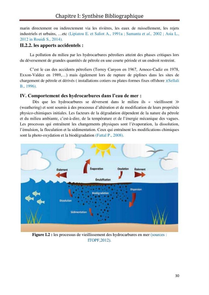 Etat de la pollution par les hydrocarbures du sédiment superficiel dans le port d\'Alger