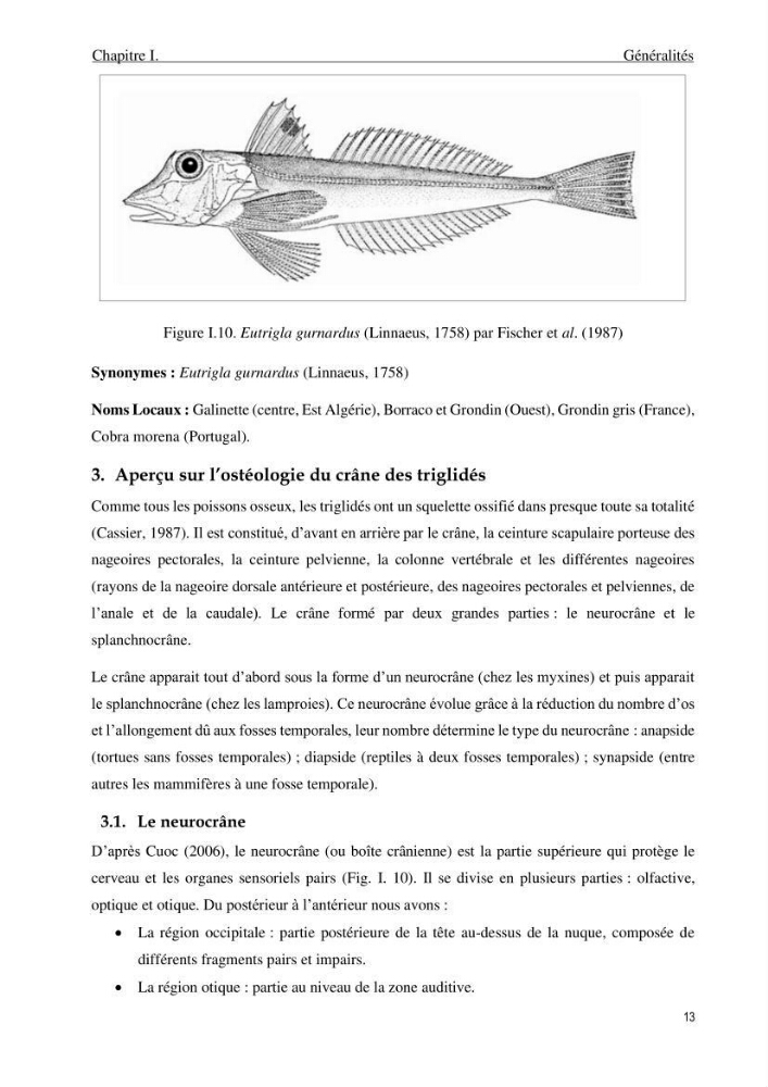 Contribution à l’étude des Triglidae ( Actinopteri, Perciformes ) de la côte algérienne: morphométrie géométrique et analyse du contour de l\'opercule