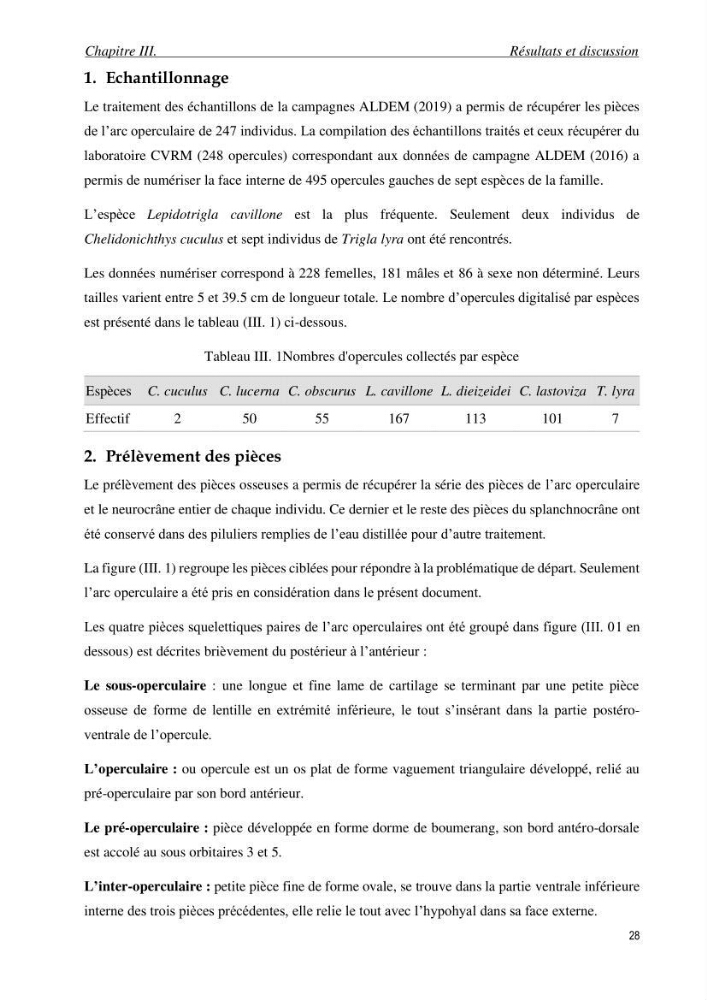 Contribution à l’étude des Triglidae ( Actinopteri, Perciformes ) de la côte algérienne: morphométrie géométrique et analyse du contour de l\'opercule