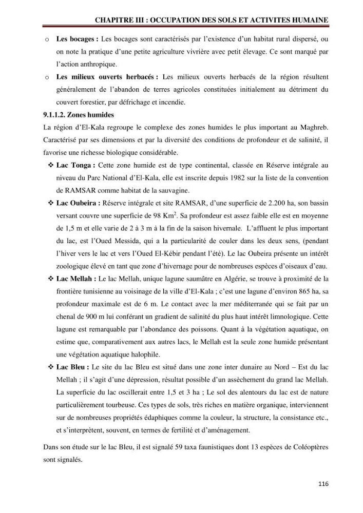 Contribution à l\'élaboration d\'une base de données dans le cadre de la gestion intègrée du littoral Algérien