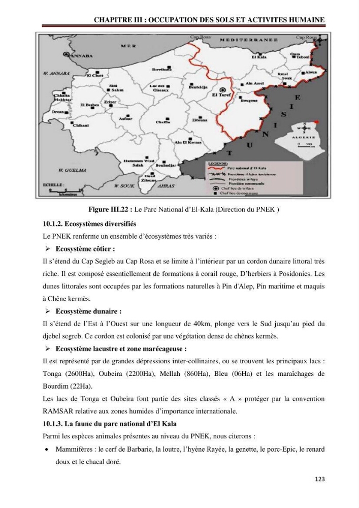 Contribution à l\'élaboration d\'une base de données dans le cadre de la gestion intègrée du littoral Algérien