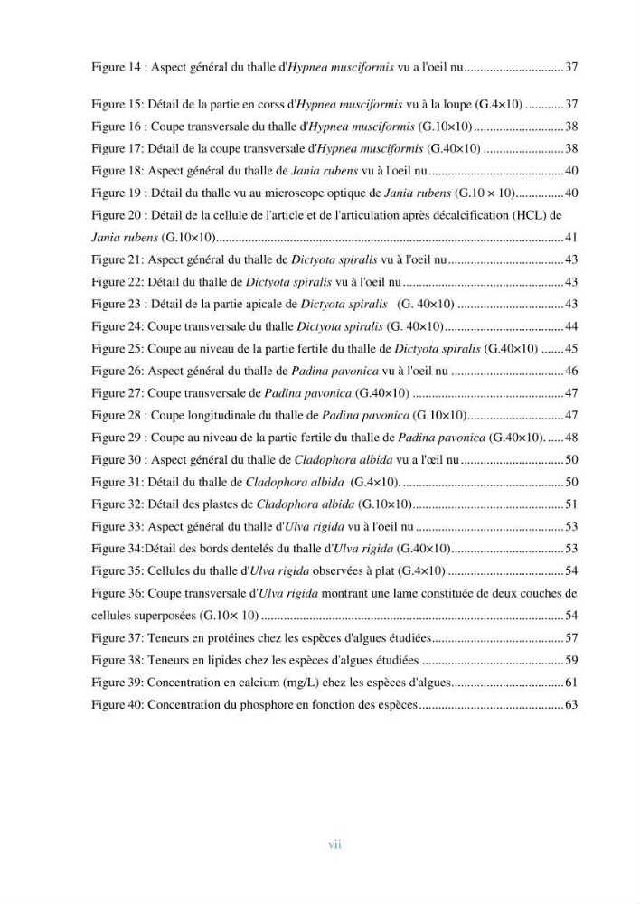 Etude de quelques algues marines de la région de Tipaza: systématique et valorisation