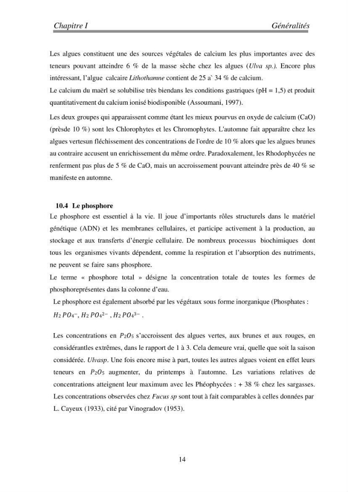 Etude de quelques algues marines de la région de Tipaza: systématique et valorisation
