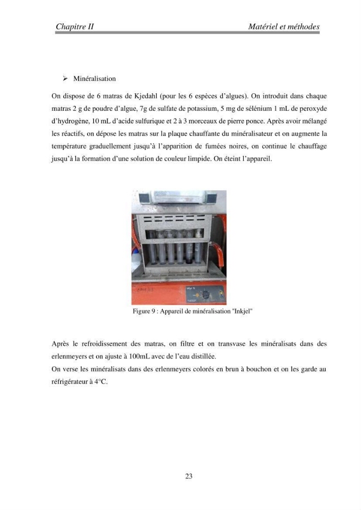 Etude de quelques algues marines de la région de Tipaza: systématique et valorisation