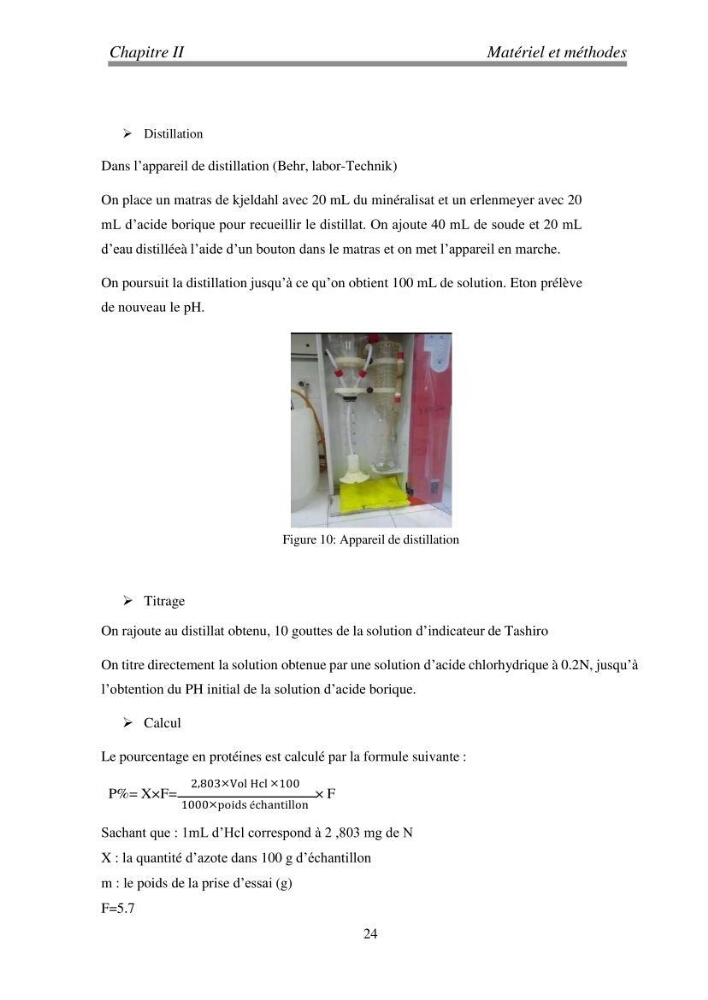 Etude de quelques algues marines de la région de Tipaza: systématique et valorisation
