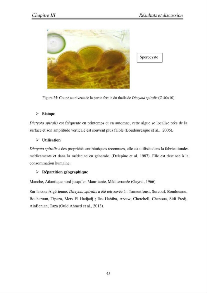 Etude de quelques algues marines de la région de Tipaza: systématique et valorisation
