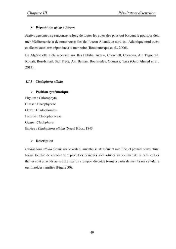Etude de quelques algues marines de la région de Tipaza: systématique et valorisation