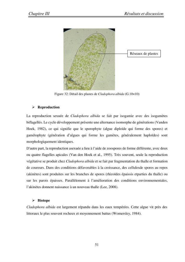 Etude de quelques algues marines de la région de Tipaza: systématique et valorisation