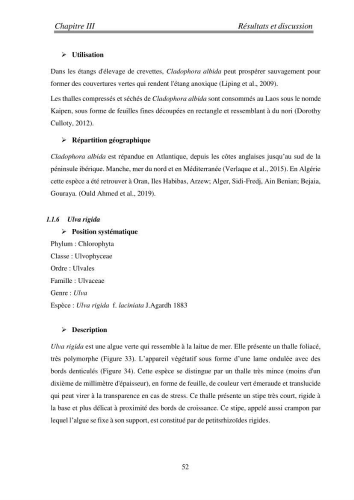 Etude de quelques algues marines de la région de Tipaza: systématique et valorisation