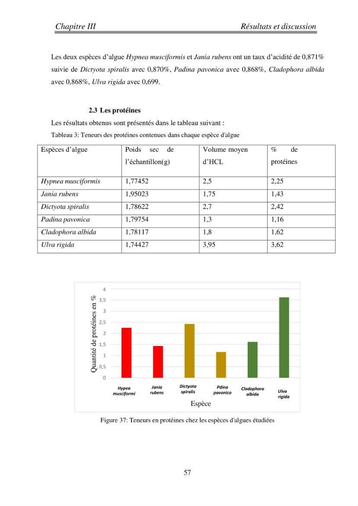 Etude de quelques algues marines de la région de Tipaza: systématique et valorisation