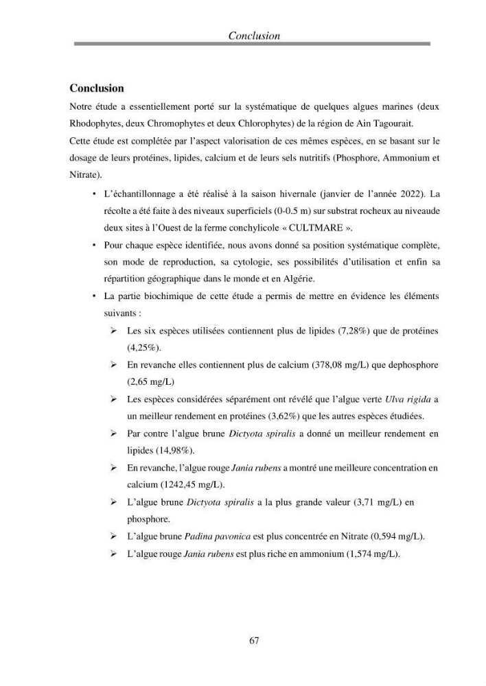 Etude de quelques algues marines de la région de Tipaza: systématique et valorisation