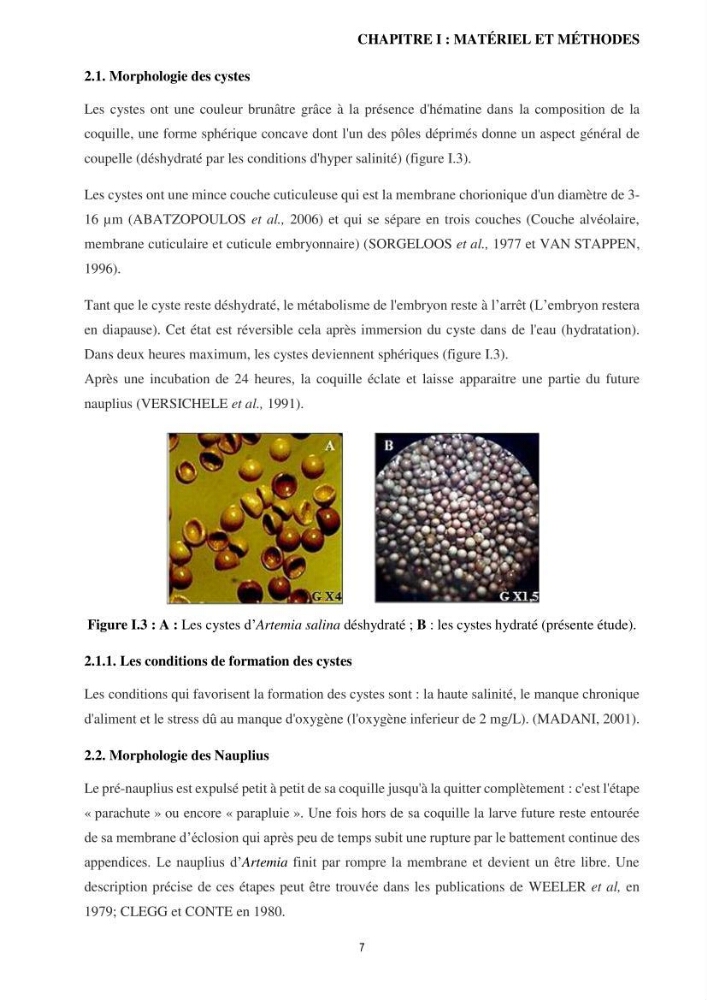 Mis en place des outils technologiques necessaires au developpement d\'un elevage d\'Artémia Salina du saline de Bethioua