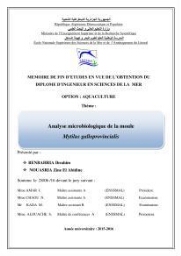 Analyse microbiologique de la moule Mytilus galloprovincialis: