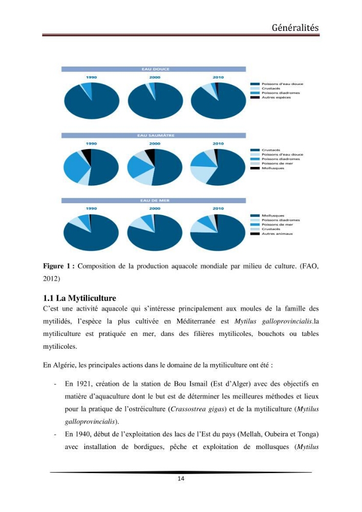 Analyse microbiologique de la moule Mytilus galloprovincialis: