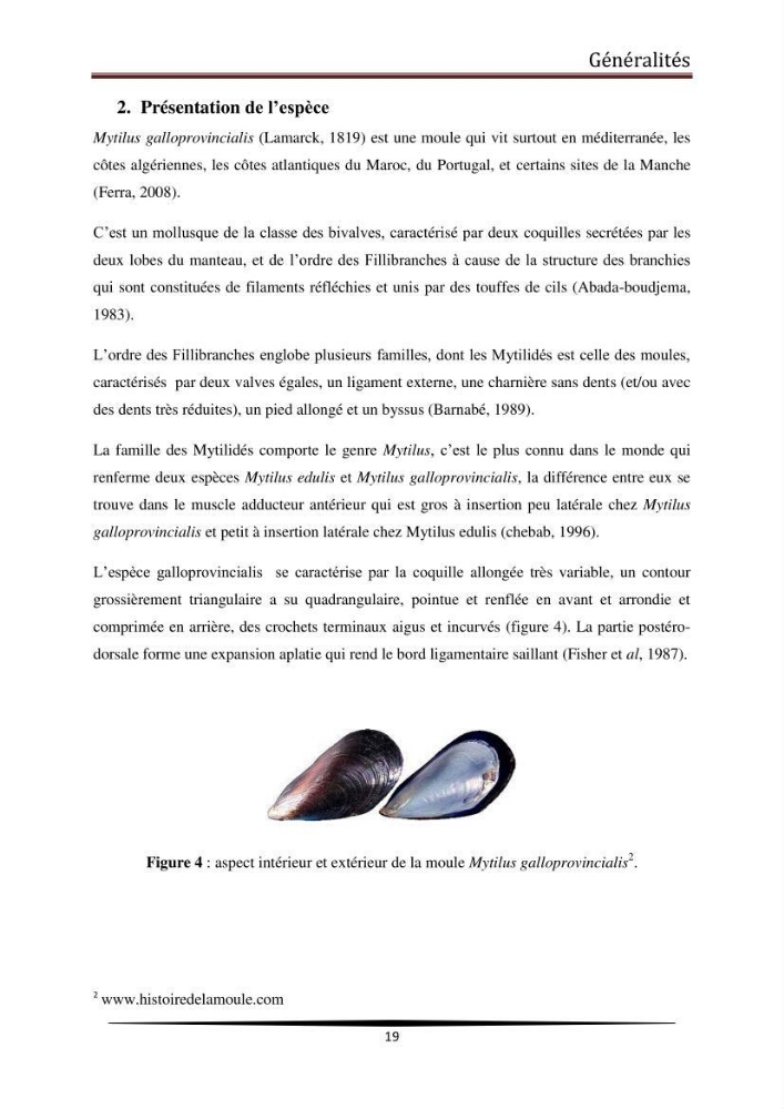 Analyse microbiologique de la moule Mytilus galloprovincialis:
