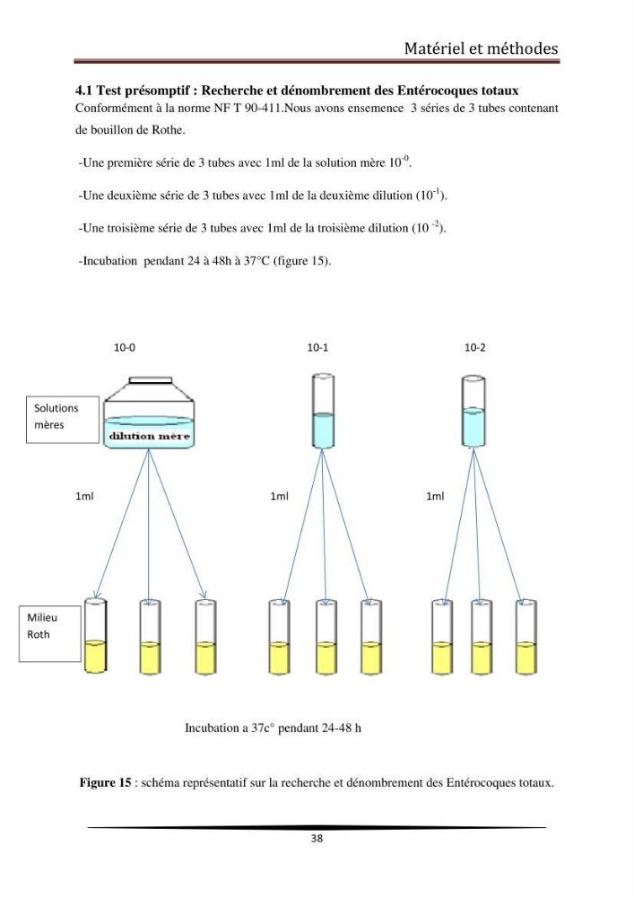 Analyse microbiologique de la moule Mytilus galloprovincialis:
